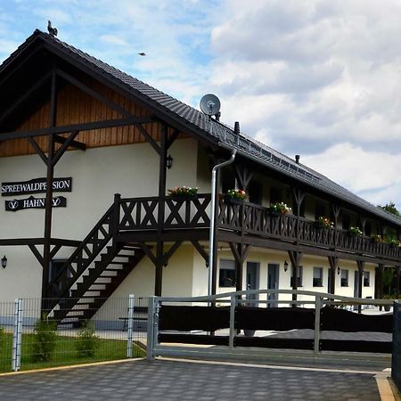 Spreewaldpension Hahn Alt Zauche Luaran gambar